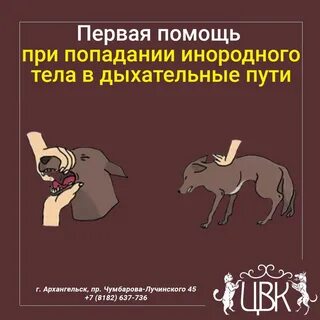 Попадание инородных предметов в дыхательные пути