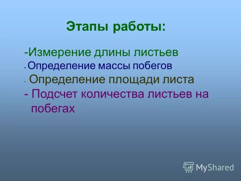 Расчеты площади листовой поверхности. Определение площади листа растения. Определение площади листьев методом. Определение площади листьев. Площадь листовой поверхности.