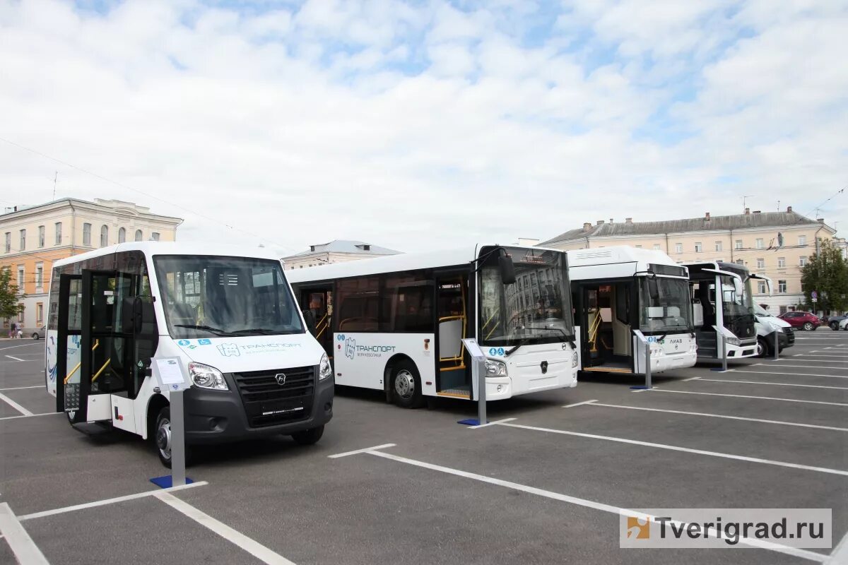 Автобус Тверь. Тверской автобус. Модернизация общественного транспорта в. Белый автобус транспорт Верхневолжья..