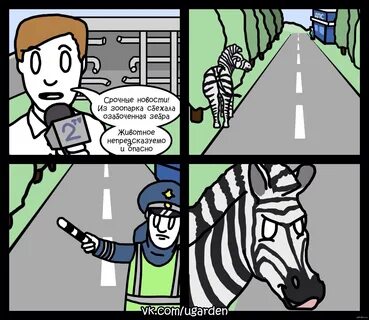 Озабоченная зебра Пикабу