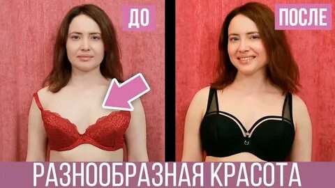 Бюстократия
