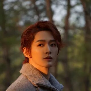 Deng wei actor