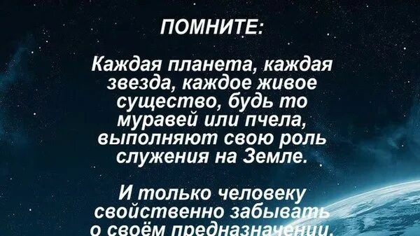 У каждого была своя планета. Миссия человека в жизни. Высказывания о призвании человека. Афоризмы про предназначение. Афоризм миссия.