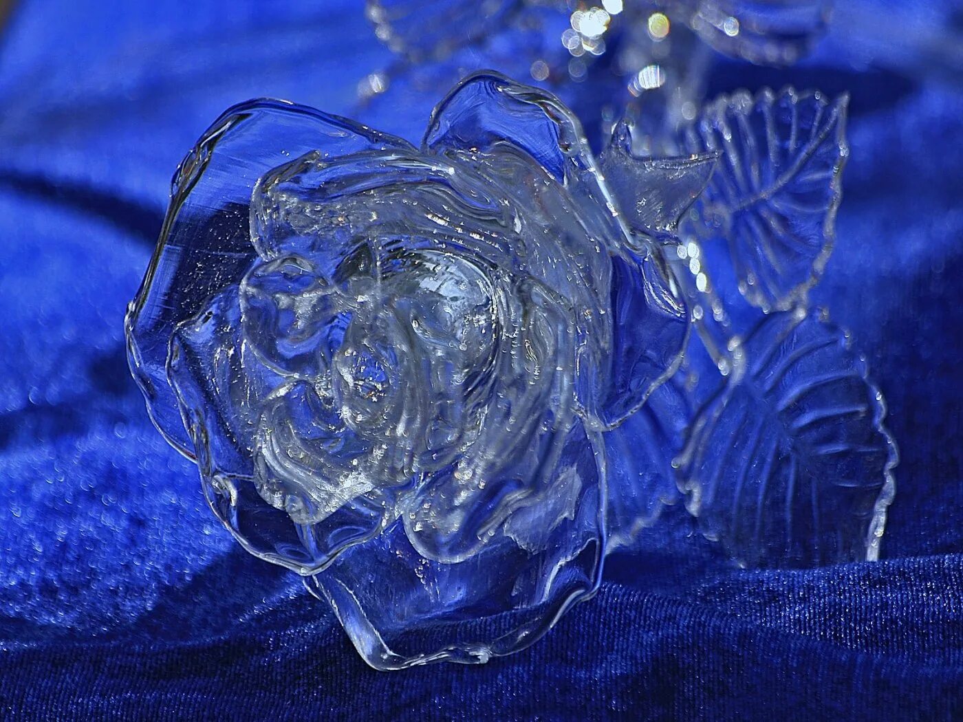 Стеклянный синий цветок. Цветок из льда. Цветы изо льда.
