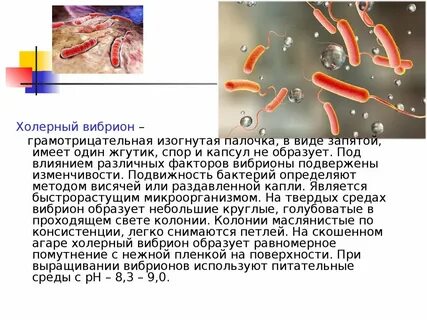 Як холера