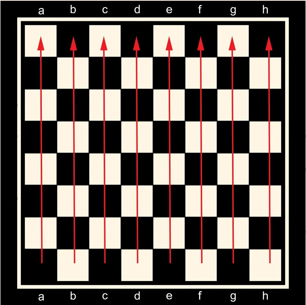 Сколько белых диагоналей на доске. Горизонталь Вертикаль диагональ в шахматах. Диагональ горизонталь Вертикаль на шахматной доске. Горизонтали и вертикали на шахматной доске. Шахматная доска с буквами.