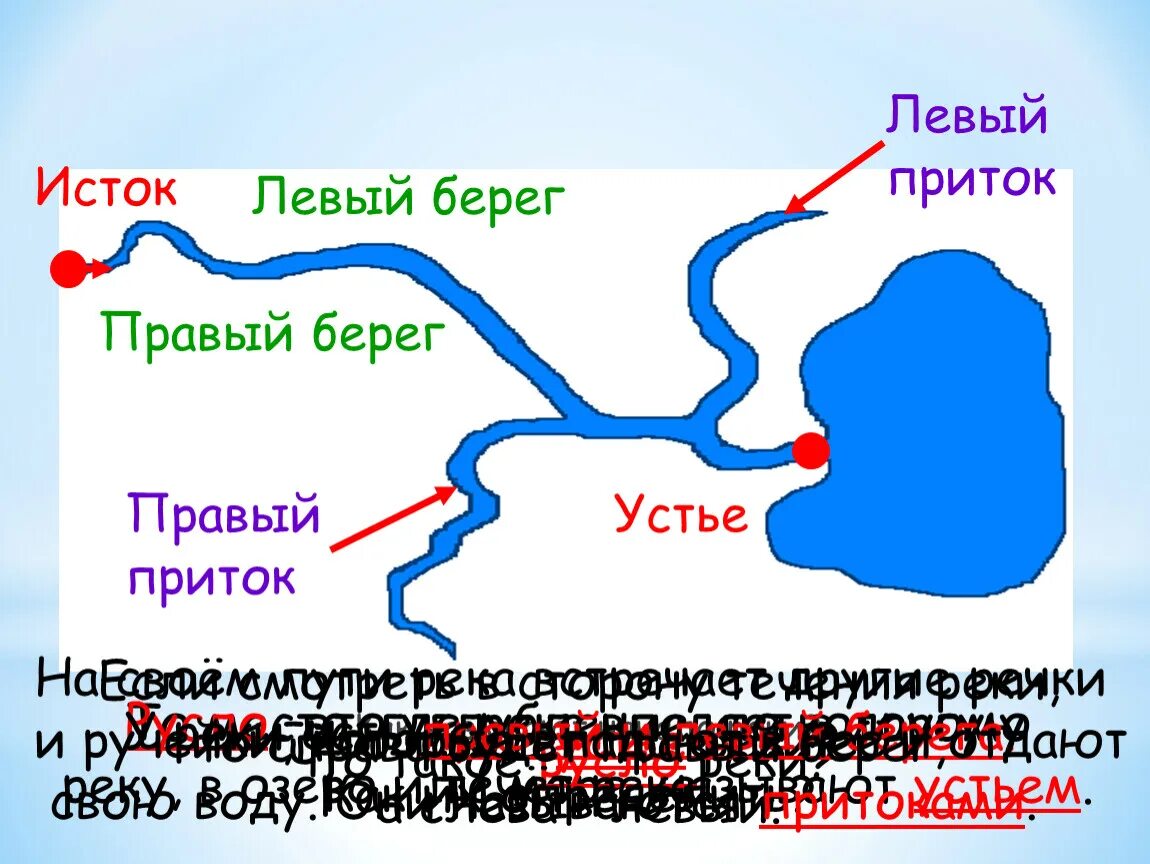 Выберите в устье реки. Исток реки Устье правый приток левый приток. Исток реки Устье реки правый приток левый приток. Исток Устье правый левый берег схема реки. Устье реки Исток приток окружающий мир.