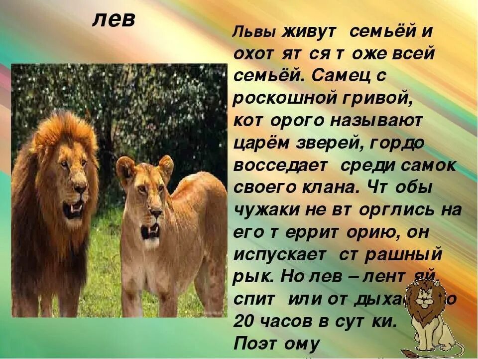 Презентация про животных. Описание животных Африки. Описание Льва. Животные Африки презентация