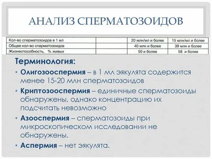 Анализы репродуктивной системы