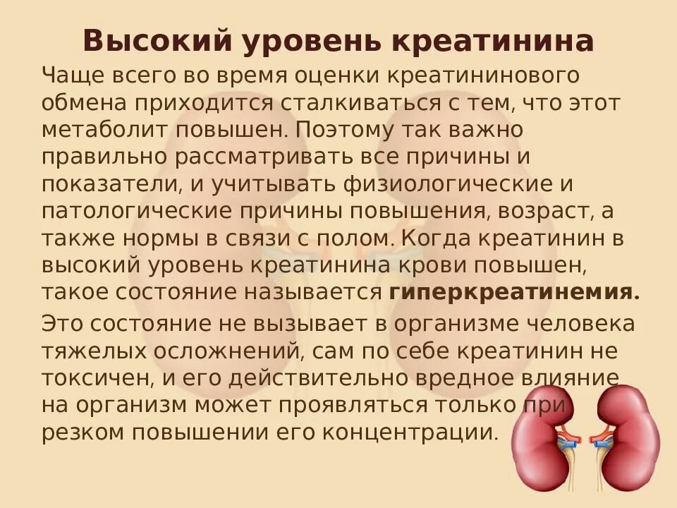Почки два раза. Почки креатинин почки. показатели почек креатинин. почки показатели креатинина. патология почек креатинин.