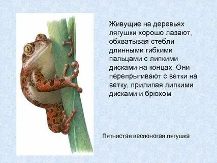 Хорошо лажу
