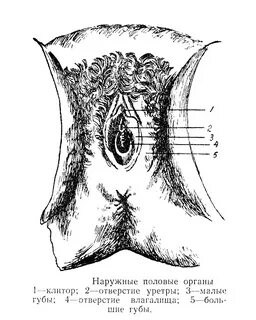 Qisqa sochli blondalar bilan porno