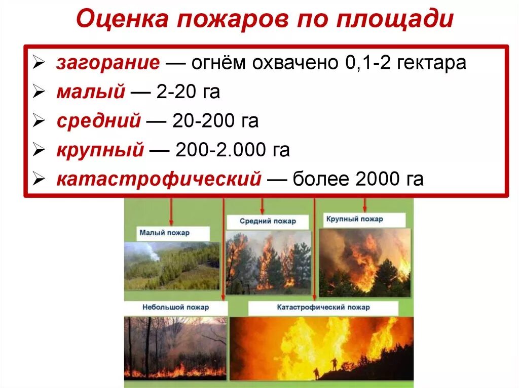 Классификация лесных пожаров. Классификация лесных пожаров по площади. Размеры пожара. Оценка площади пожара.