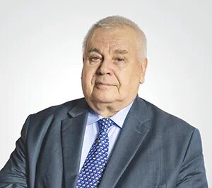 Васильевич википедия