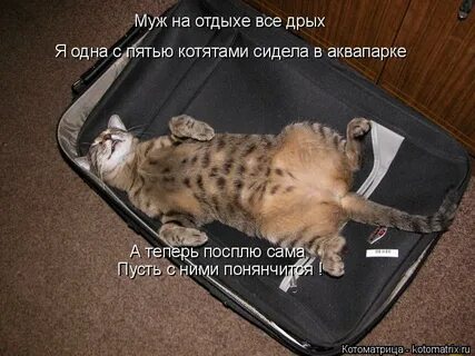 По окончании отпуска