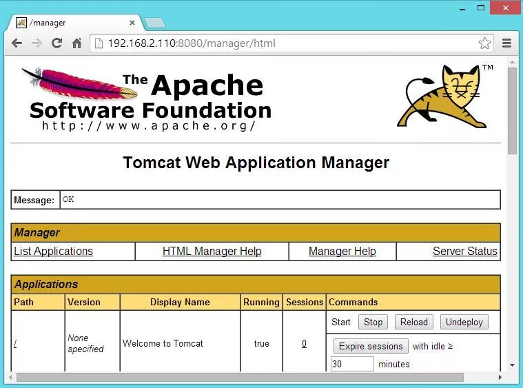 Apache tomcat. Apache программа. апачи томкат что это. apache tomcat logo.