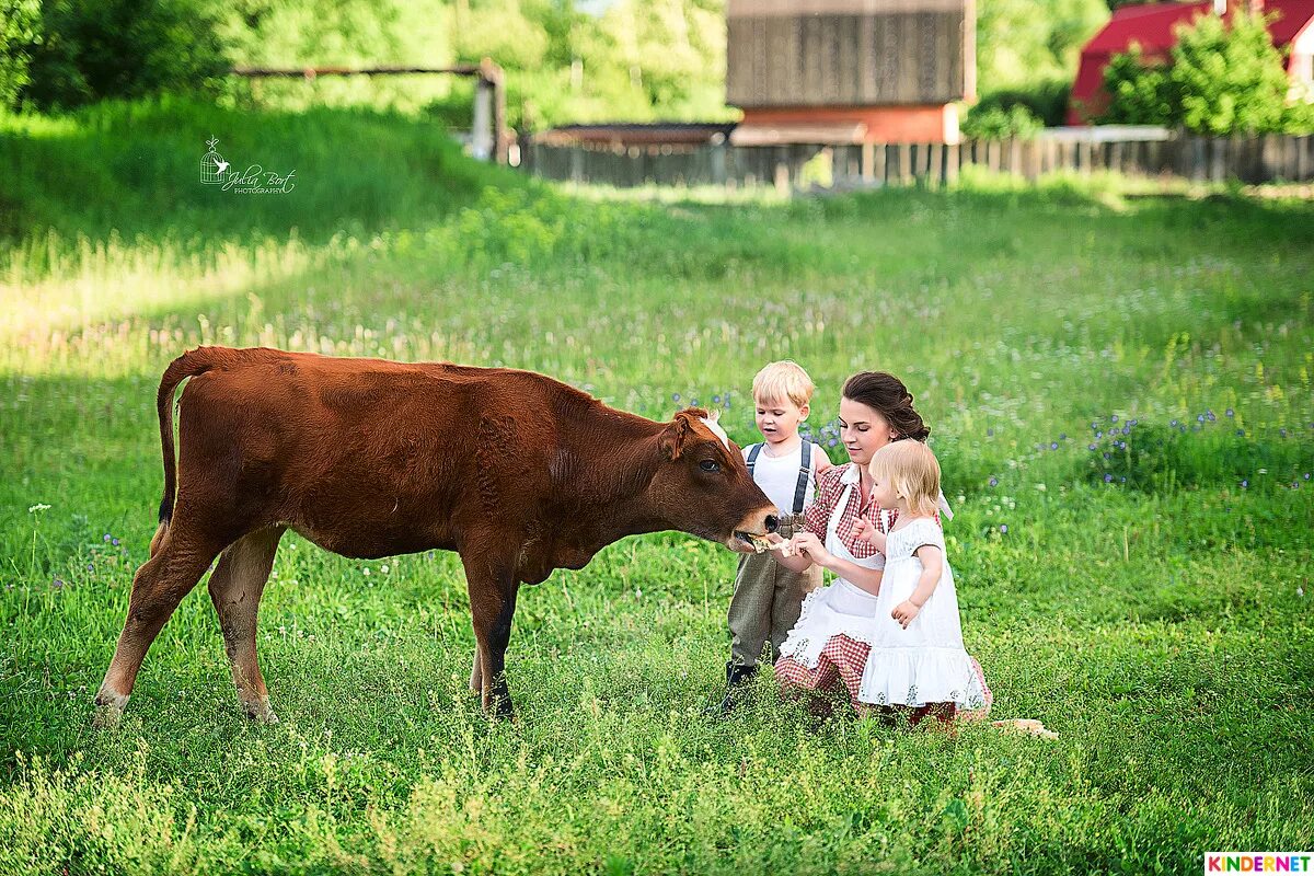 семья на ферме. работа семейный пара проживания ферму. деревенская семья. семейная пара на ферму. семейная животноводческая ферма.