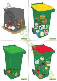 Plant flowers recycle cans collect