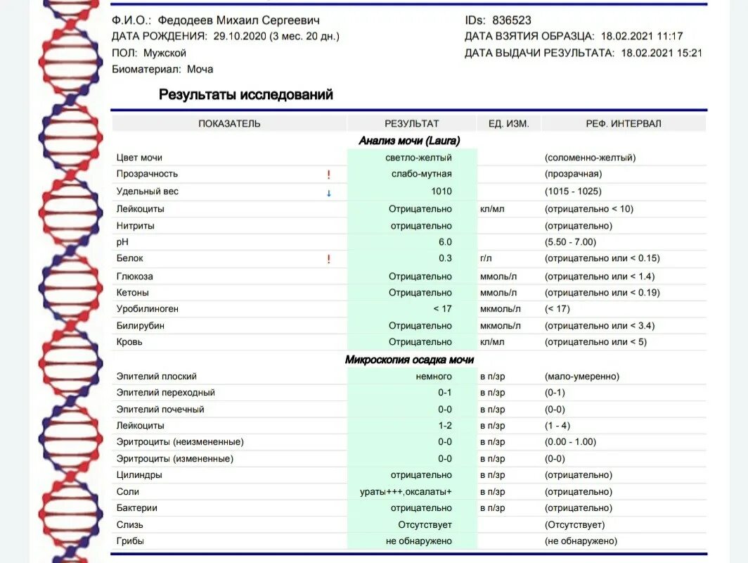 Норма кишечной палочки в моче. Escherichia coli норма в моче. Escherichia coli в анализе мочи. Анализ мочи на кишечную палочку. Кишечная палочка в моче причины лечение