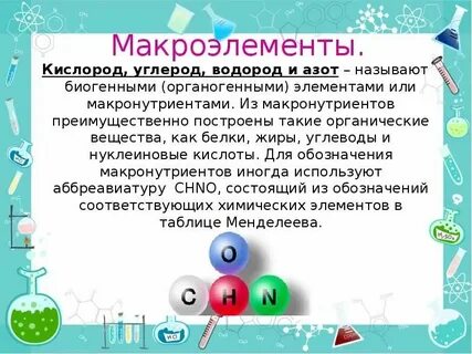 Соотношение водорода и кислорода в углеводах