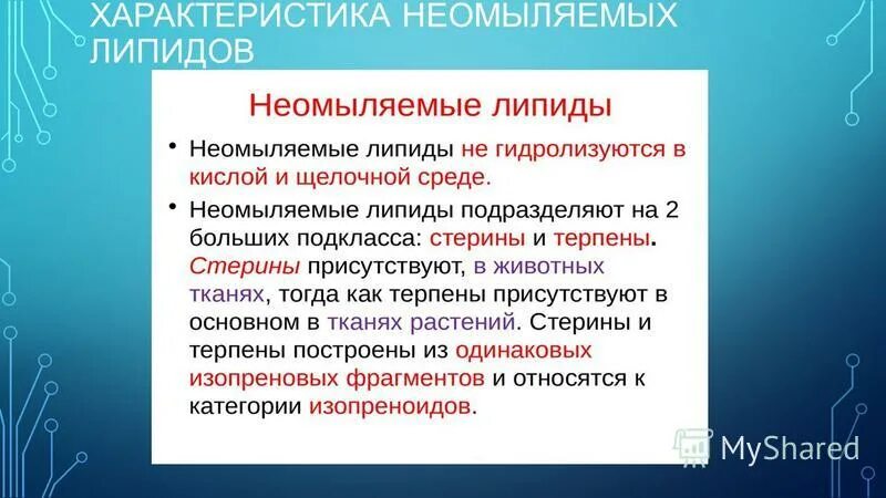 Неомыляемые липиды