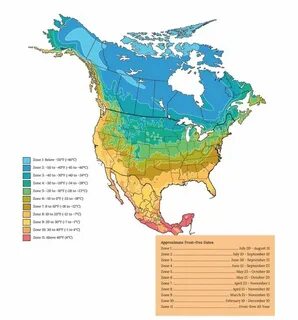 Plants map