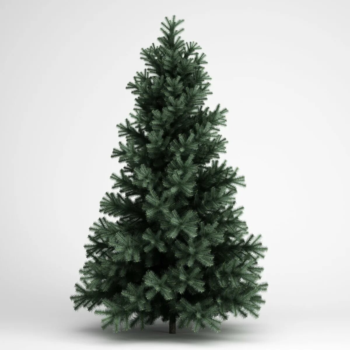 Ель 3д модель. Елка alpine 180 см. модель ёлки cinema 4d. елка everlands alpine fir. ёль 3макушная.