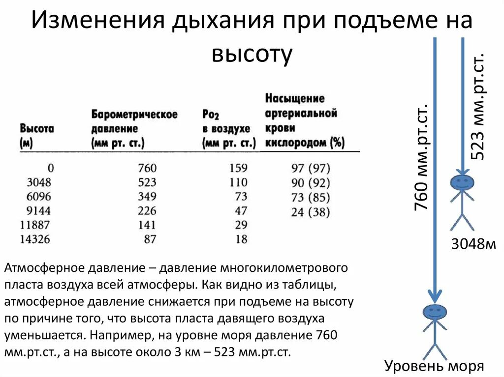 Изменение дыхания при подъеме на высоту. Изменение давления при дыхании. Как изменяется частота дыхания. Изменения вентиляции легких при физической нагрузке..