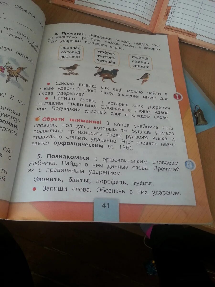 Правильное ударение в слове тетерев. Русский язык 1 класс стр 41. Русский язяк1 класс стп41. 1 Класс русский языкстп 41. Русский язык 1 класс стр.41 /1.