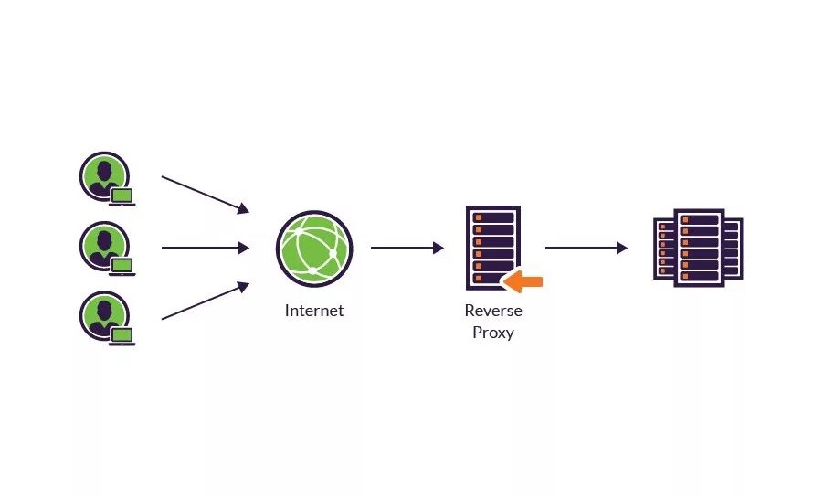 Reverse proxy fails