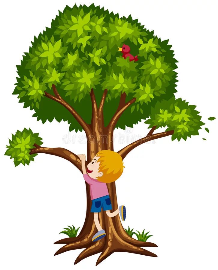 Can a tree