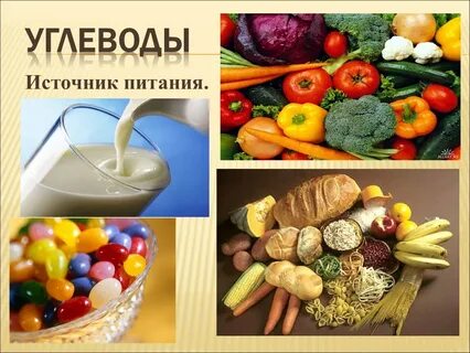 Углеводы урок 10 класс биология презентация