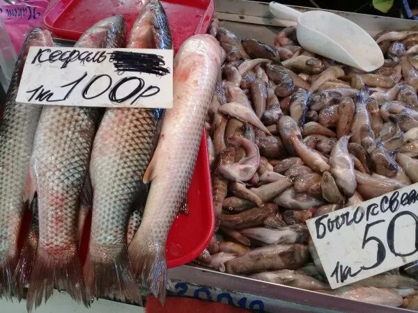 Таганрог рыбный рынок. Таганрог рынок Центральный рыбный. Рыбный рынок в Таганроге ассортимент. Таганрогская рыба.