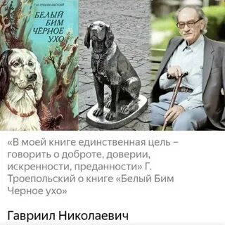 Г н троепольский белый бим черное ухо