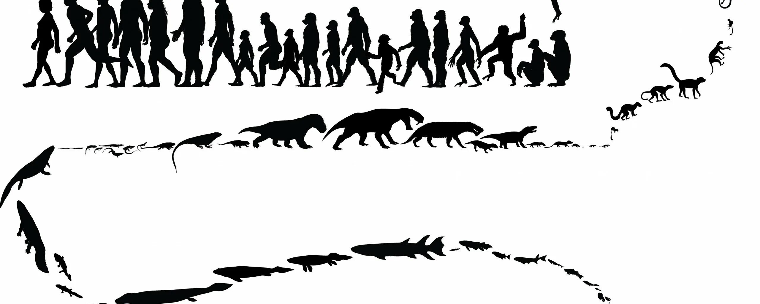 Жизни путем эволюции. Эволюция человека от клетки до человека. Эволюция Дарвина. Эволюция от бактерии до человека. От обезьяны до человека.