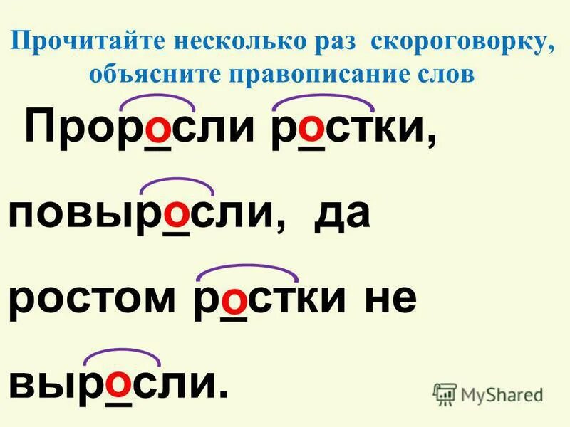 Время слова взойдет