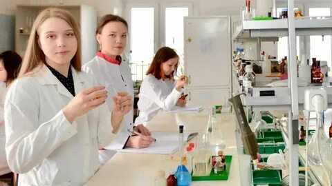 Программы поддержки молодых ученых