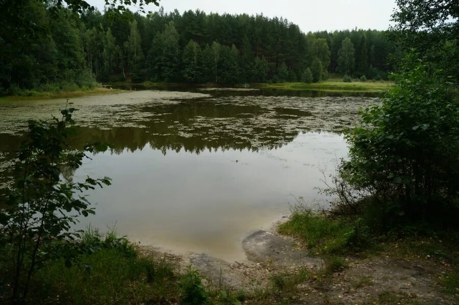 Погода венец сосновский нижегородская. Озеро Цимлянское Сосновский район Нижегородская область. Озеро Родионово Сосновский район. Озеро ПУРЕШЕВО Вачский район Нижегородская область. Озеро Родионово Сосновский район Нижегородская область.