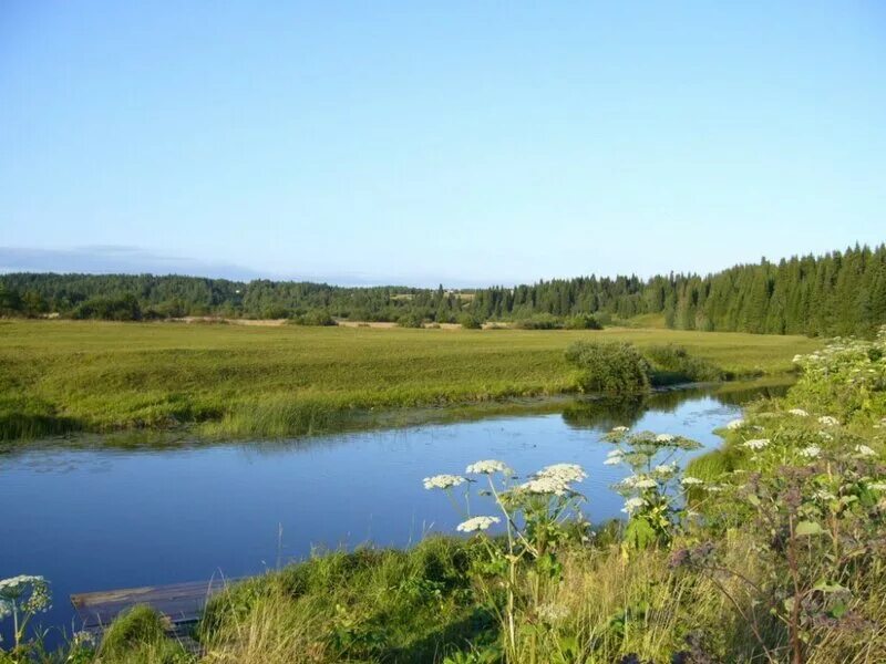 леса коми-пермяцкий округ. летка республика коми достопримечательности. малиновка игра. энгельс ,аллея летка. летка.