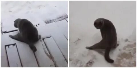 Вышел снег