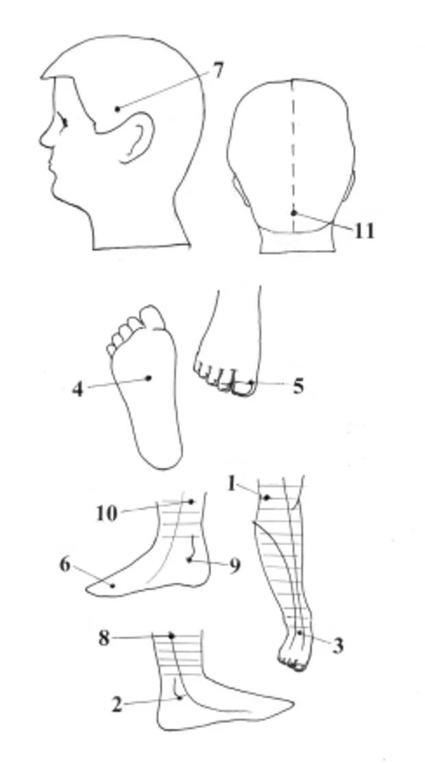 Моментальная точка. Акупунктурные точки коленного сустава. Акупунктурные точки при сердечной недостаточности. Точки от усталости. Акупунктурные точки на плече.