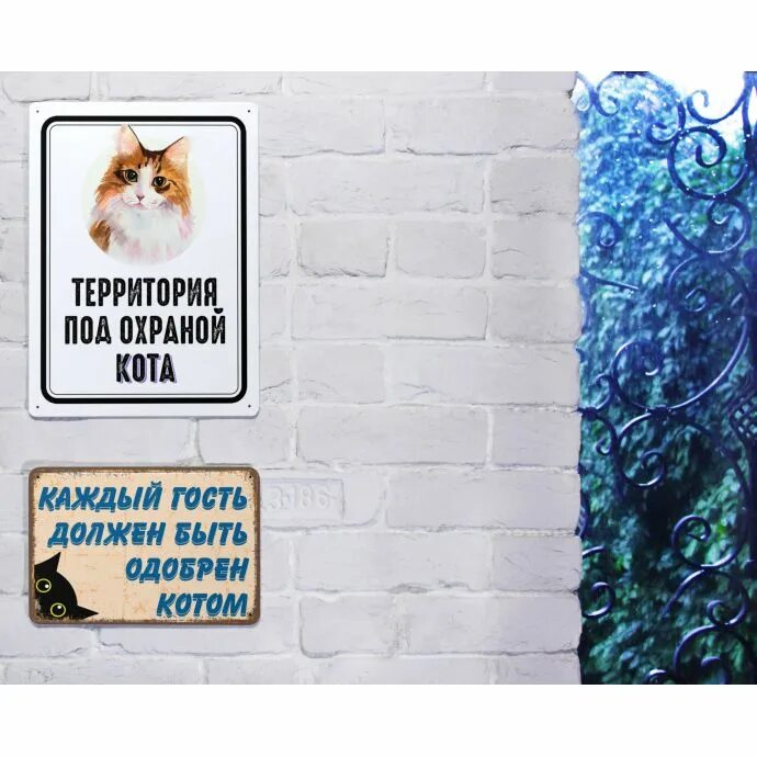 Как охраняют кошек