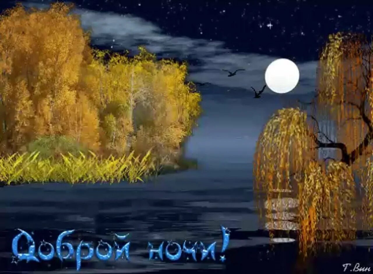 Доброй осенней ночи красивое. Доброй ночи осень. Осенние пожелания спокойной ночи. Спокойной ночи осенью. Доброй осенней ночи сладких снов.