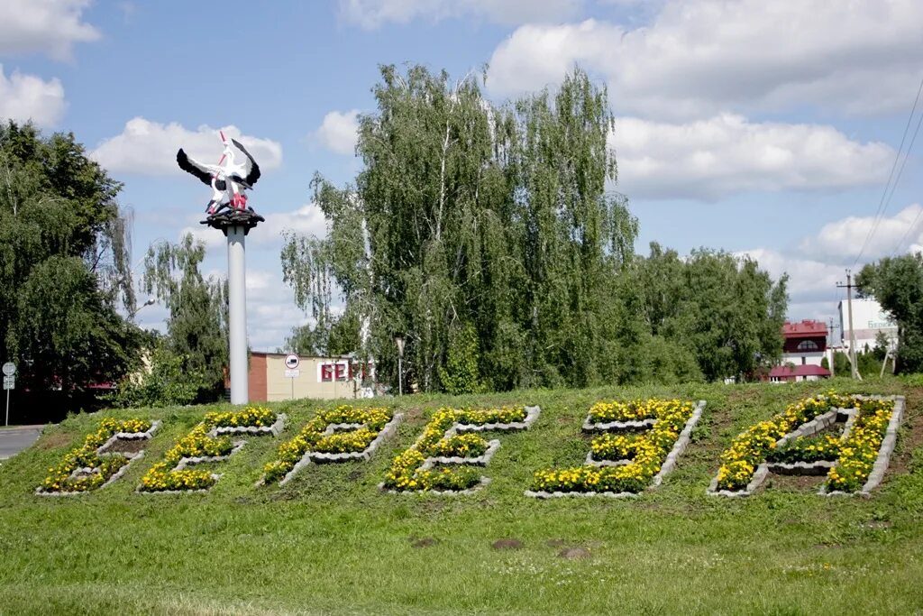 Город береза область. Город берёза Брестская область. Белоруссия береза город. Берёза город Брест. Береза город в Беларуси достопримечательности.