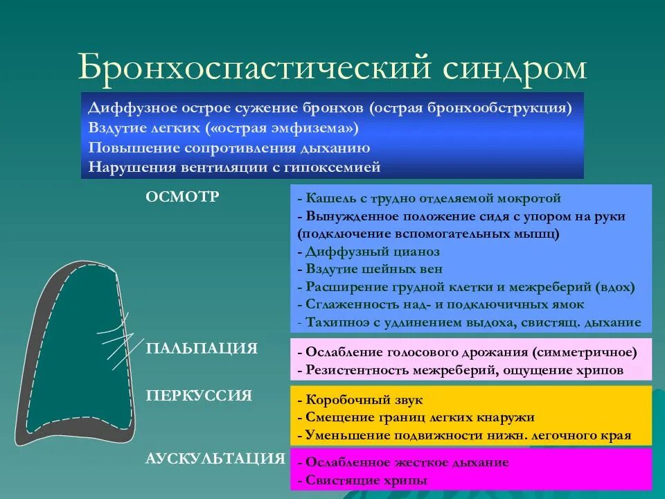 Синдром диффузной. Бронхоспастический синдром. патогенез бронхоспастического синдрома. синдромы при бронхиальной астме. заболевания сопровождающиеся бронхообструктивным синдромом.