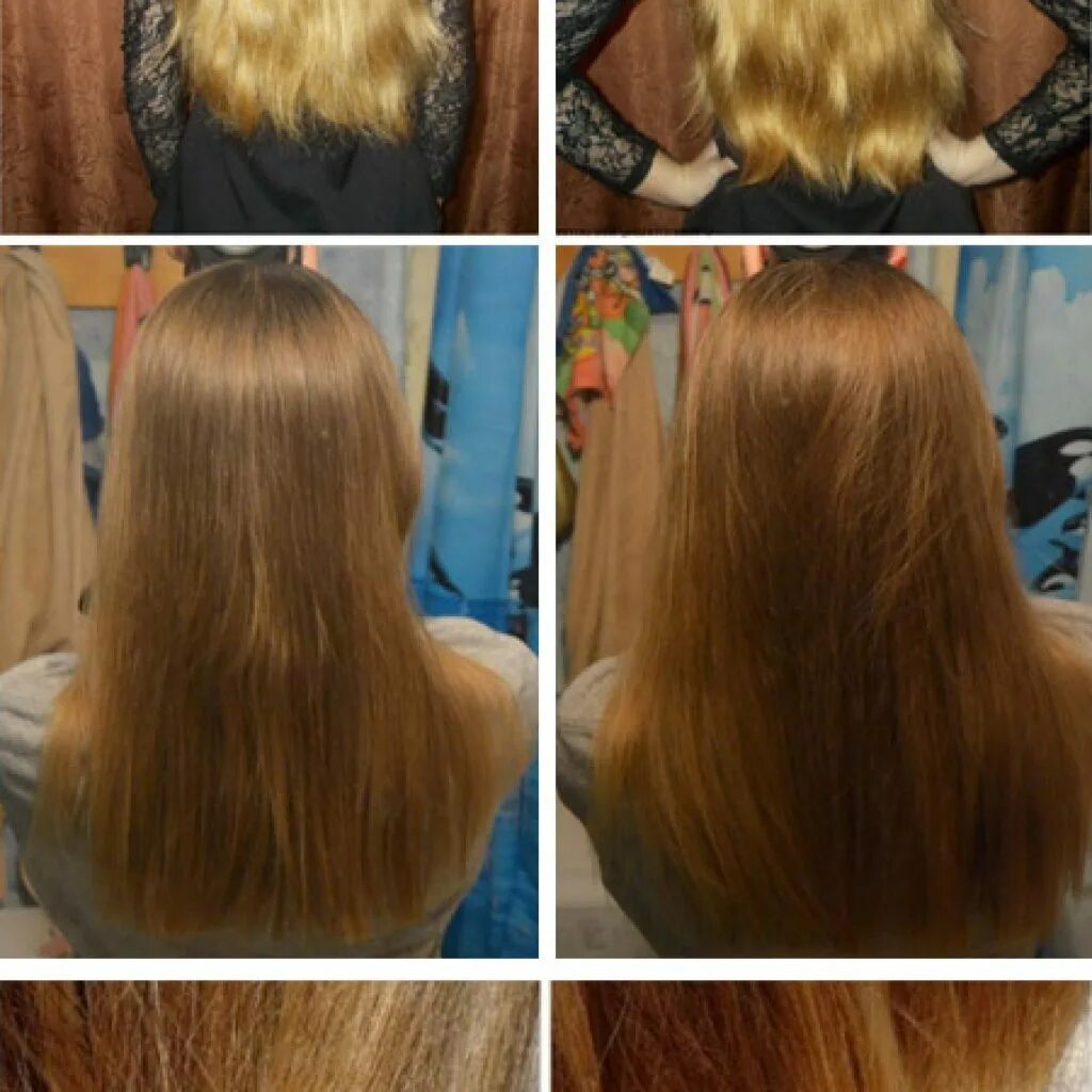 Эсвицин для волос до и после использования. Оливковое масло для волос до и после. Эсвицин для волос до и после. Аргановое масло для волос до и после. Волосы после масла отзывы