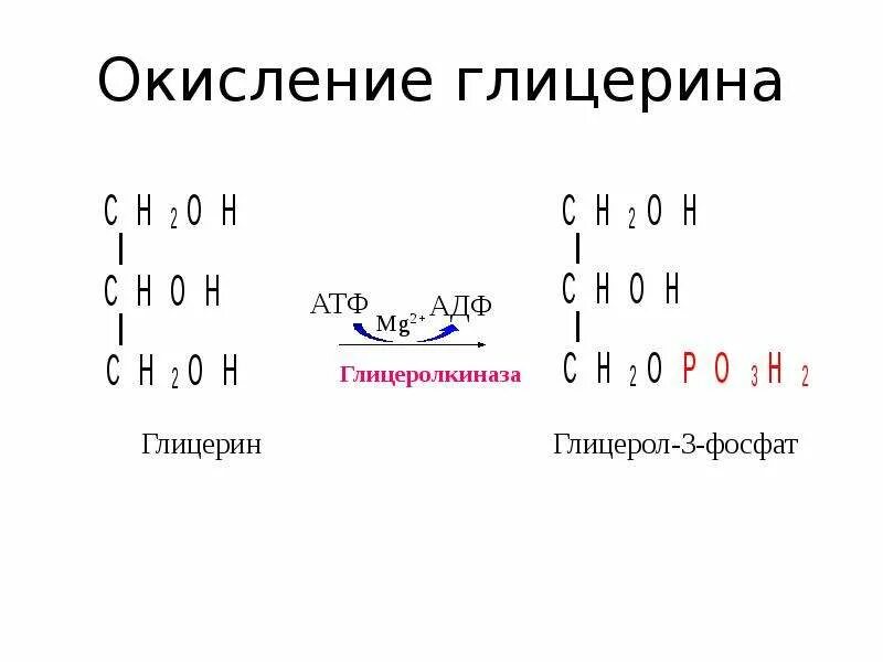 Глицерин атф. Окисление глицерина до ПВК. Окисление глицерина АТФ. Окисление глицерина до со2 и н2о реакции. Энергетический баланс окисления глицерина.