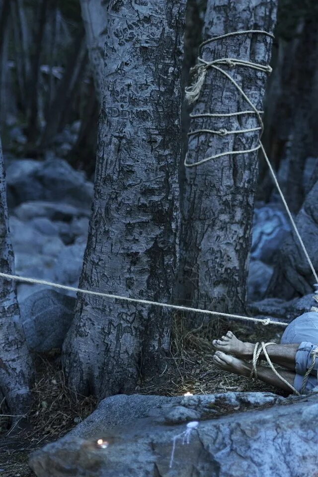 Лошадь привязанная к дереву. Встретил привязанную в лесу. Человек привязанный к дереву. Женщина привязана к дереву. Девушка привязана к дереву.