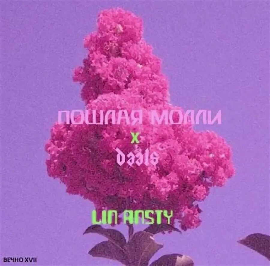 Песня настя настя дай мне руку чтобы. Lin ansty запах сирени. лин ансти молли. запах сирени настя. сирень аромат счастья.