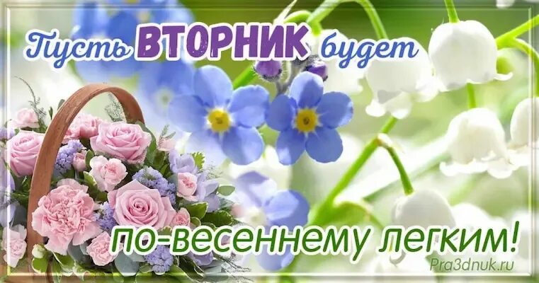 Хорошего весеннего вторника. Доброе Весеннее утро вторника.